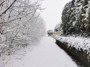 Wandern in und um Breckerfeld