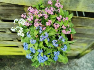 Seniorenfrühstück in Zurstraße