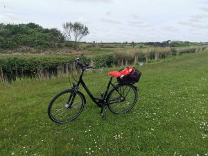 E-Bike Toue mit Frank und Ralph