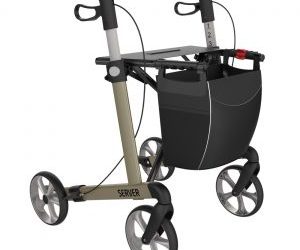 Rollator-Training
