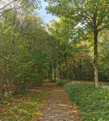 Wandern in Breckerfeld im November