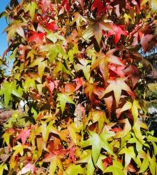 Gesundes Frühstück in Zurstraße